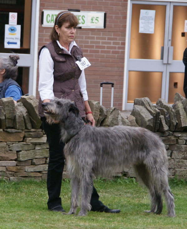 Kilbourne Harvey at Lordswell